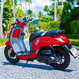 Honda Scoopy Red