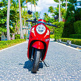 Honda Scoopy Red