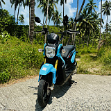 Honda Zoomer X Blue