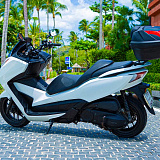 Honda Forza 300 White