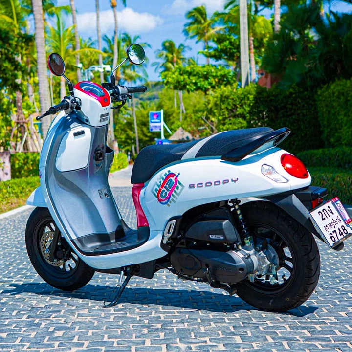 Honda Scoopy White