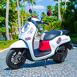 Honda Scoopy White