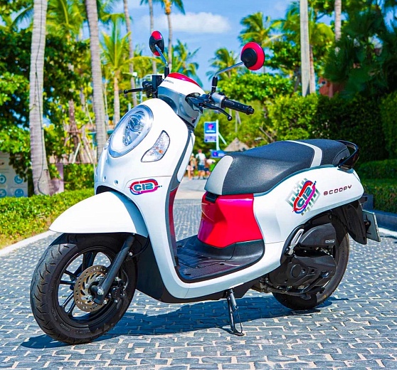 Арнеда Honda Scoopy White на Самуи