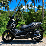 Honda - Forza 350 Black