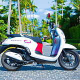Honda Scoopy White