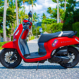 Honda Scoopy Red