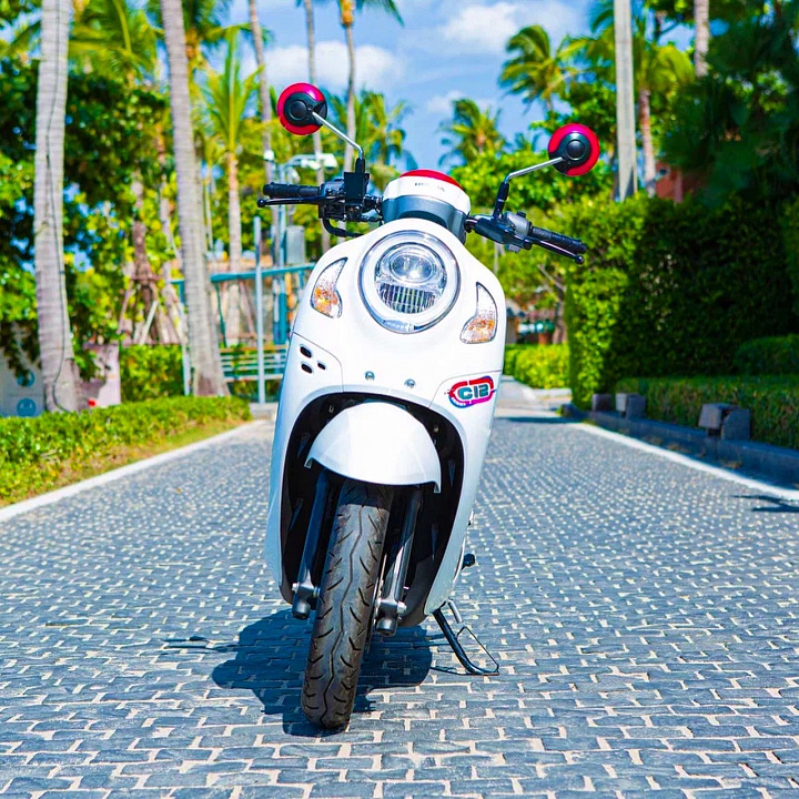 Honda Scoopy White