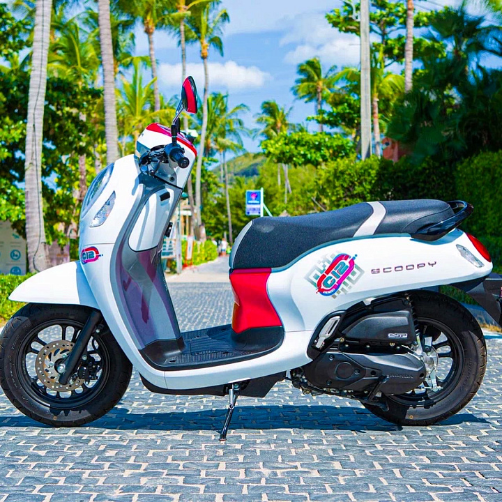 Honda Scoopy White
