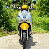 Honda Scoopy Yellow
