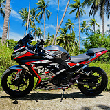 Kawasaki Ninja 300