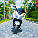 Honda Forza 300 White
