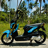 Honda Zoomer X Blue