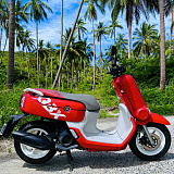 Yamaha Qbix Red