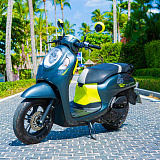 Honda Scoopy Grey