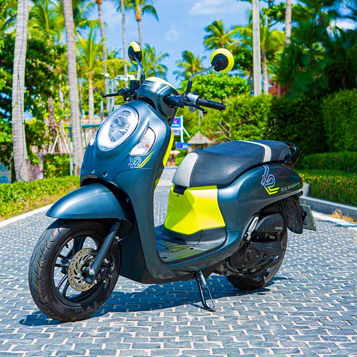 Honda Scoopy Grey
