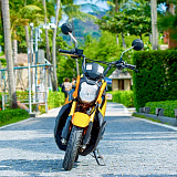 Honda Zoomer X Orange