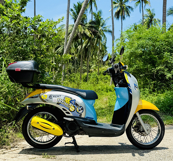 Арнеда Honda Scoopy Yellow на Самуи