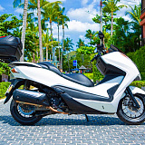 Honda Forza 300 White