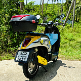 Honda Scoopy Yellow