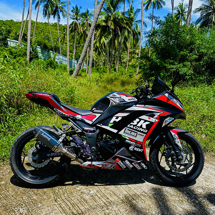 Kawasaki Ninja 300