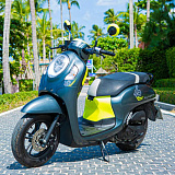 Honda Scoopy Grey