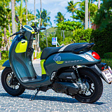 Honda Scoopy Grey