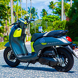 Honda Scoopy Grey