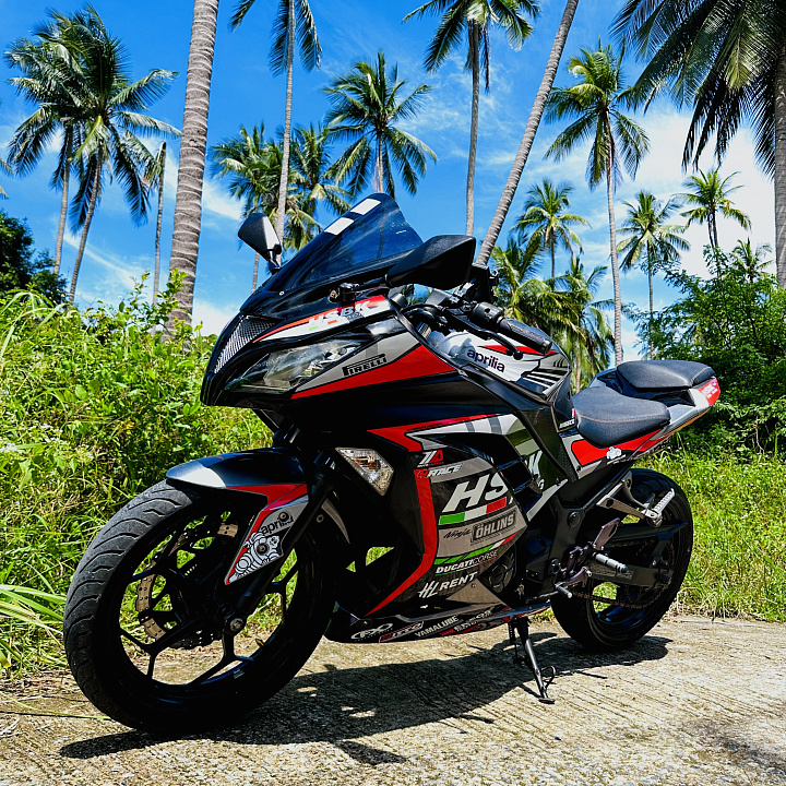 Kawasaki Ninja 300
