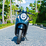 Honda Scoopy Grey