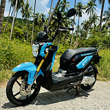 Honda Zoomer X Blue